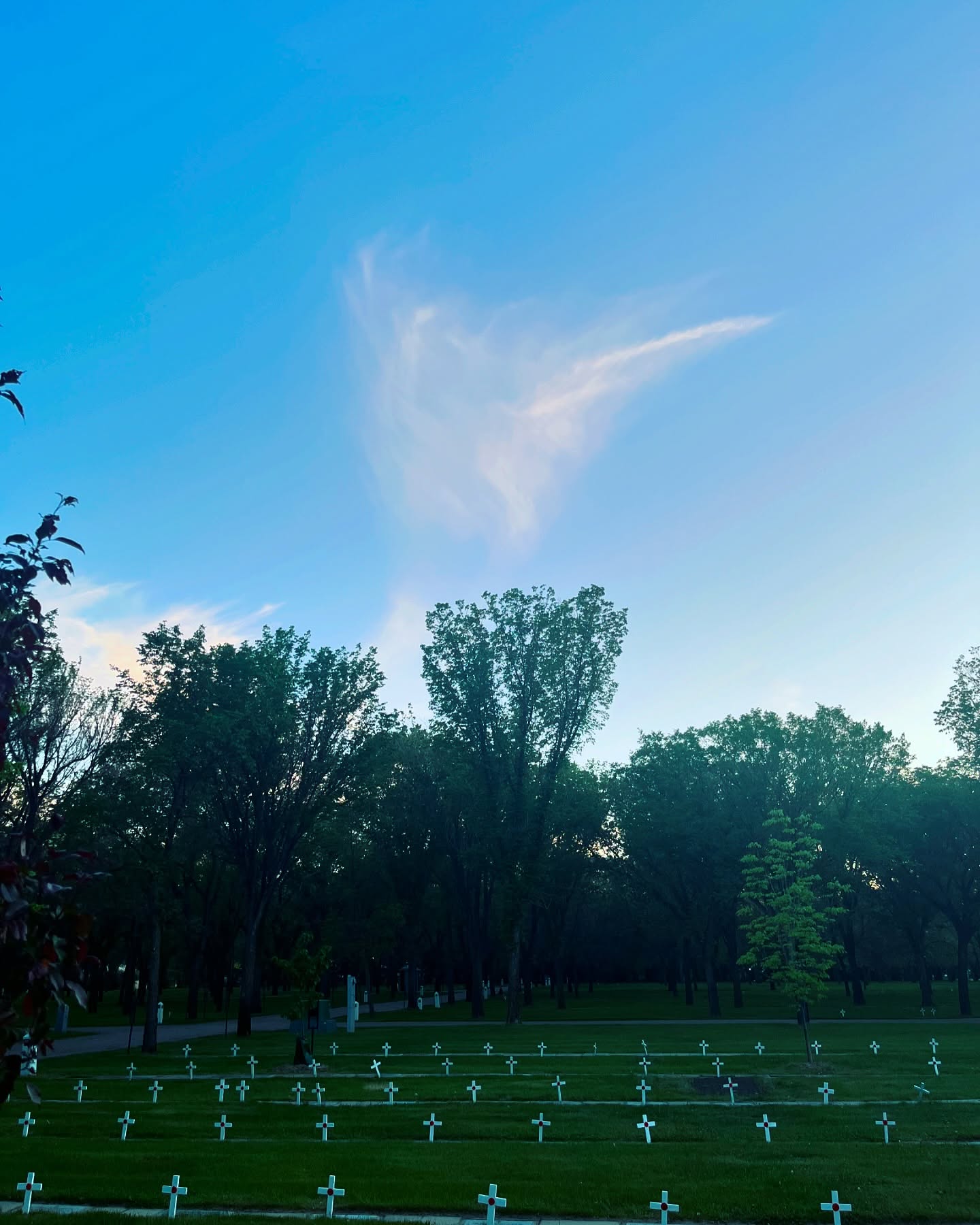 Bradwell Cemetery grounds in spring showing fresh green grass and memorial stones